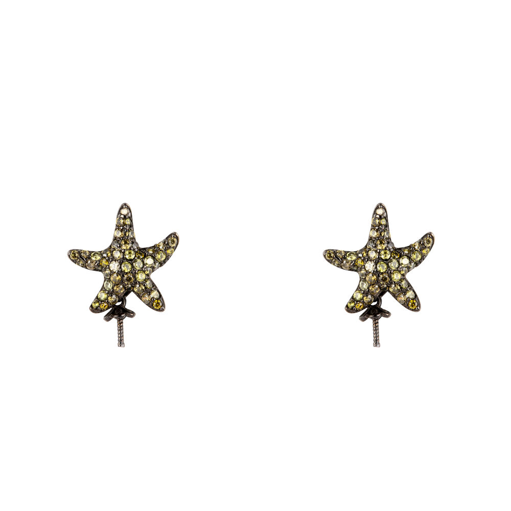 Dam örhängen Lancaster JLA-EAR-STAR3 1,2 cm