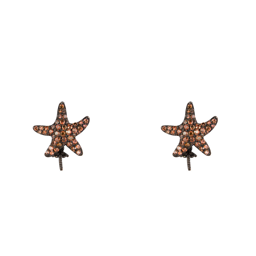 Dam örhängen Lancaster JLA-EAR-STAR4 1,2 cm