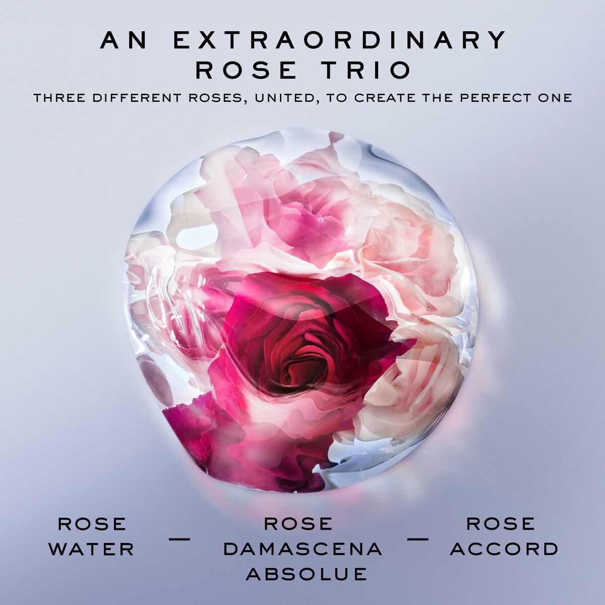 Parfym Damer Lancôme La Vie Est Belle Rose Extraordinaire EDP 100 ml - 3