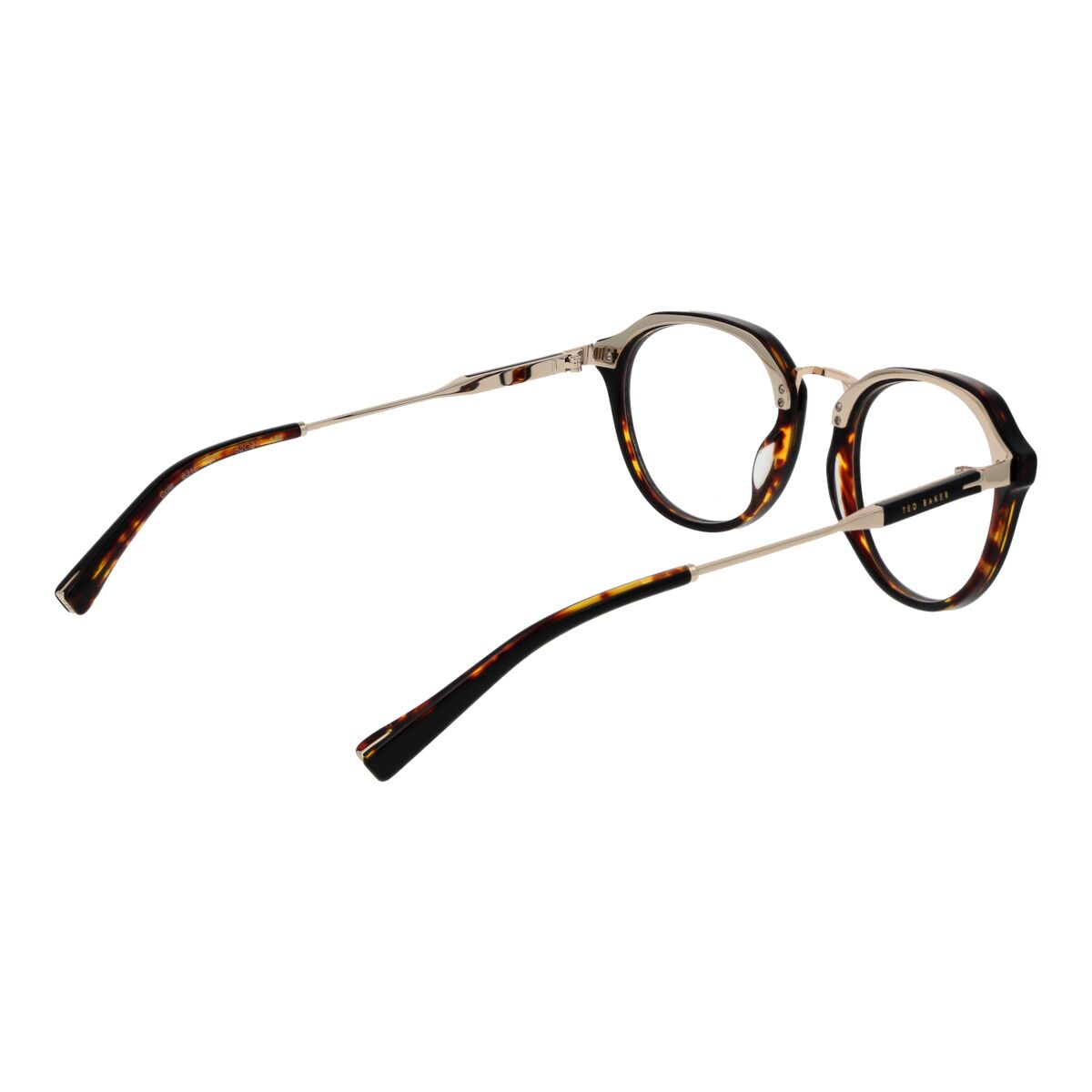 Glasögonbågar Ted Baker TB8318 52107 - 3