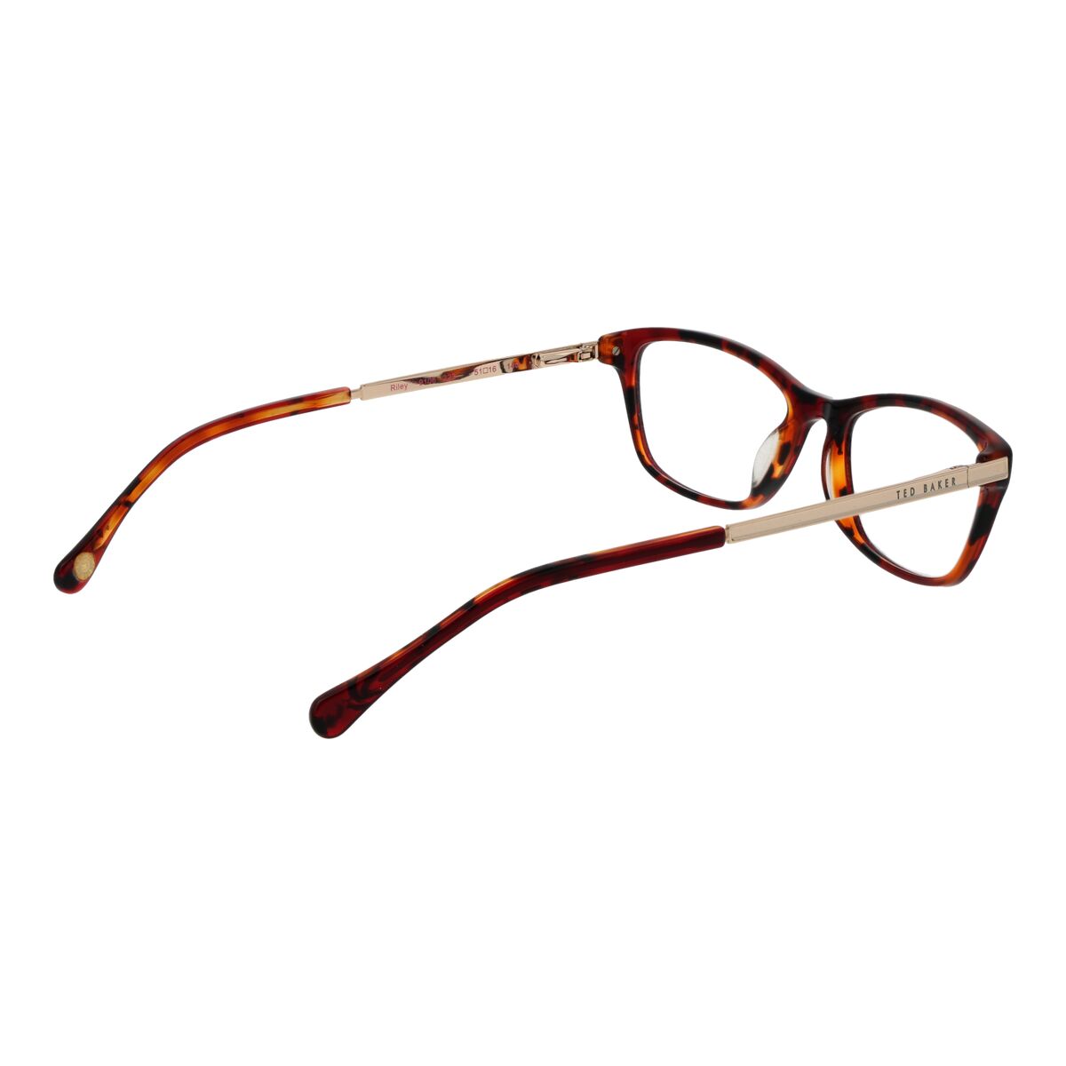 Glasögonbågar Ted Baker TB9106 51223 - 3
