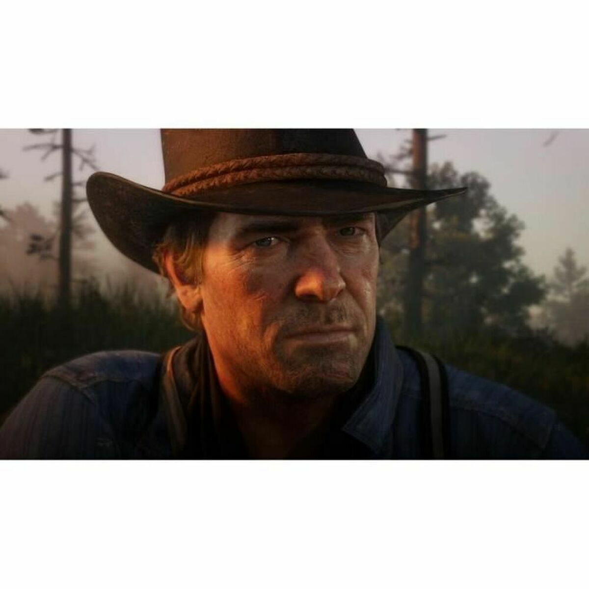 PlayStation 4 Videospel Sony Red Dead Redemption 2 - 2