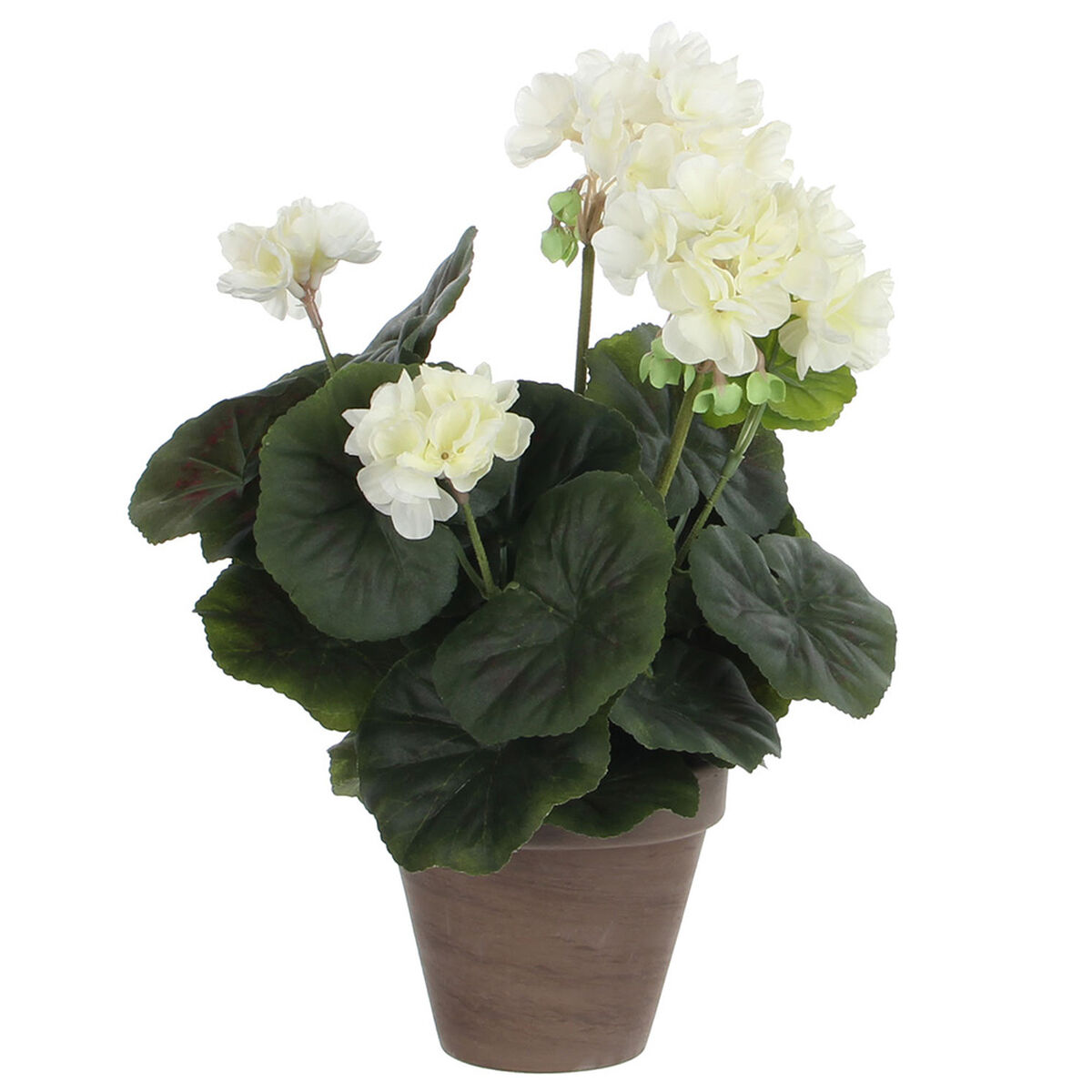 Dekorativ växt Mica Decorations PVC Pelargon