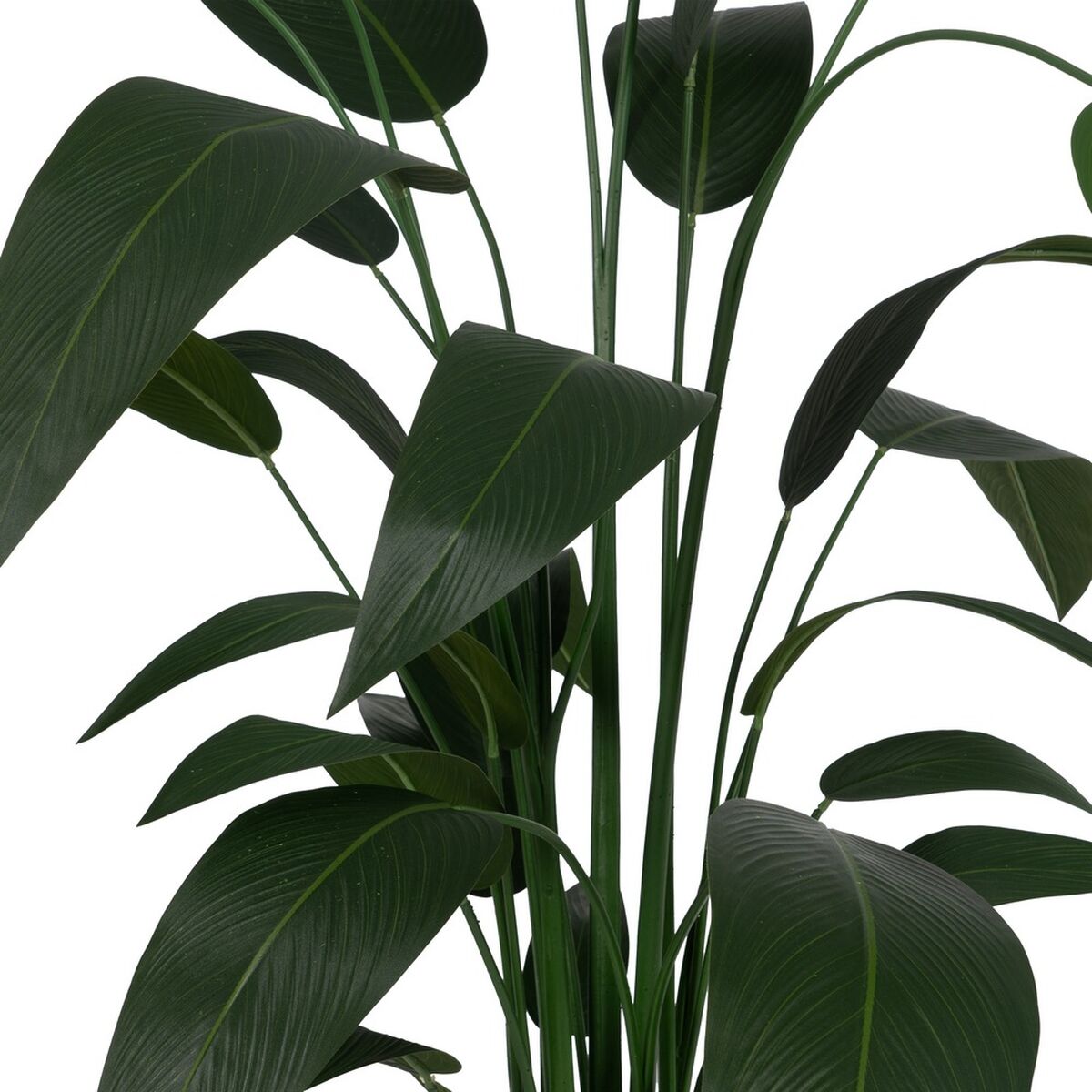Dekorativ växt PVC Cement Tyg Paradisets Fågel 50 x 50 x 220 cm - 3