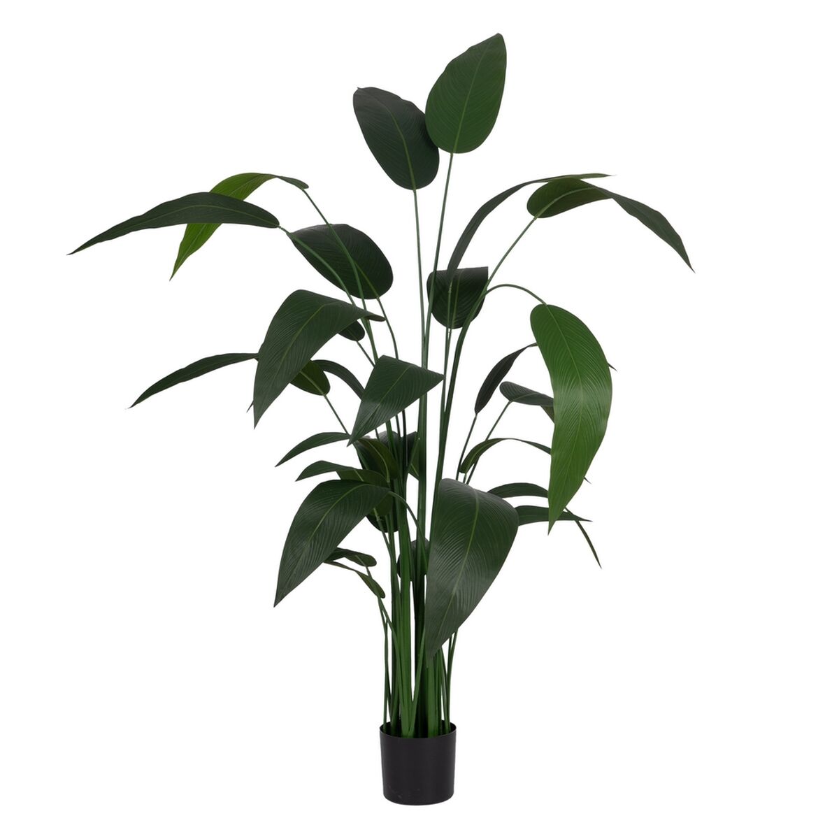 Dekorativ växt PVC Cement Tyg Paradisets Fågel 50 x 50 x 220 cm