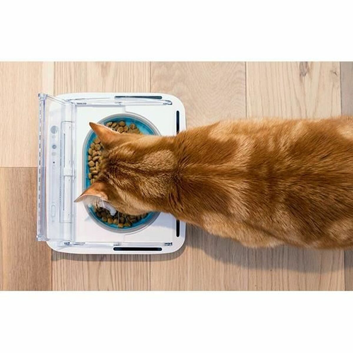 Automatisk matare SureFlap SureFeed 400 ml Batterier x 2 - 5