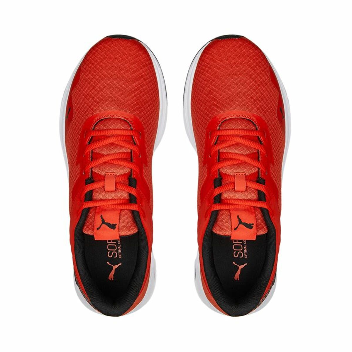 Sportskor Puma Disperse XT 2 Mesh Röd - 11