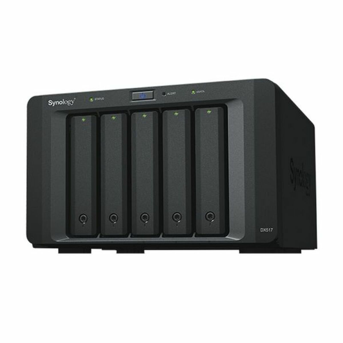 Nätlagringsenhet NAS Synology 2,5"-3,5" SATA 60 TB Svart - 2