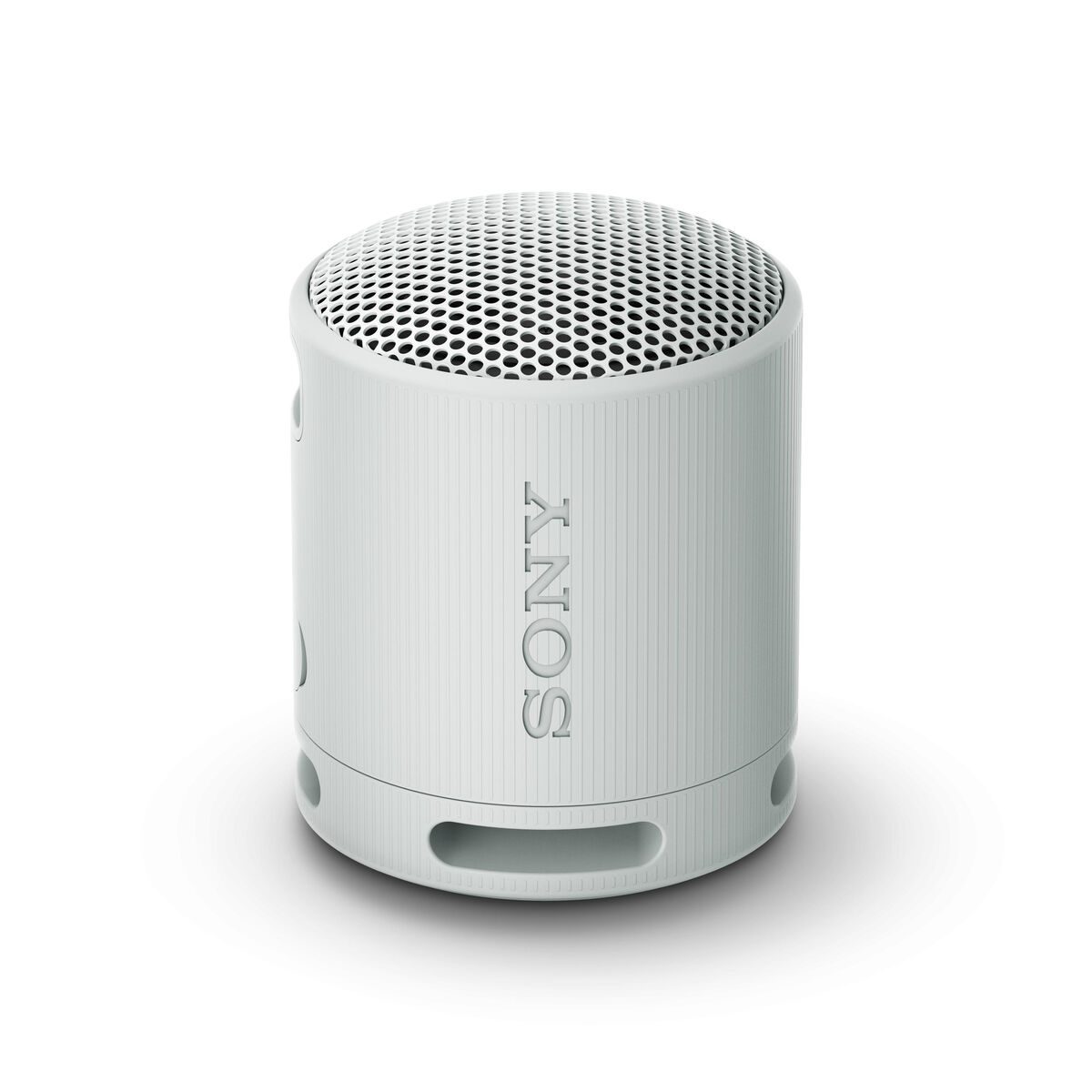 Bärbar Bluetooth Högtalare Sony SRSXB100H.CE7 Grå