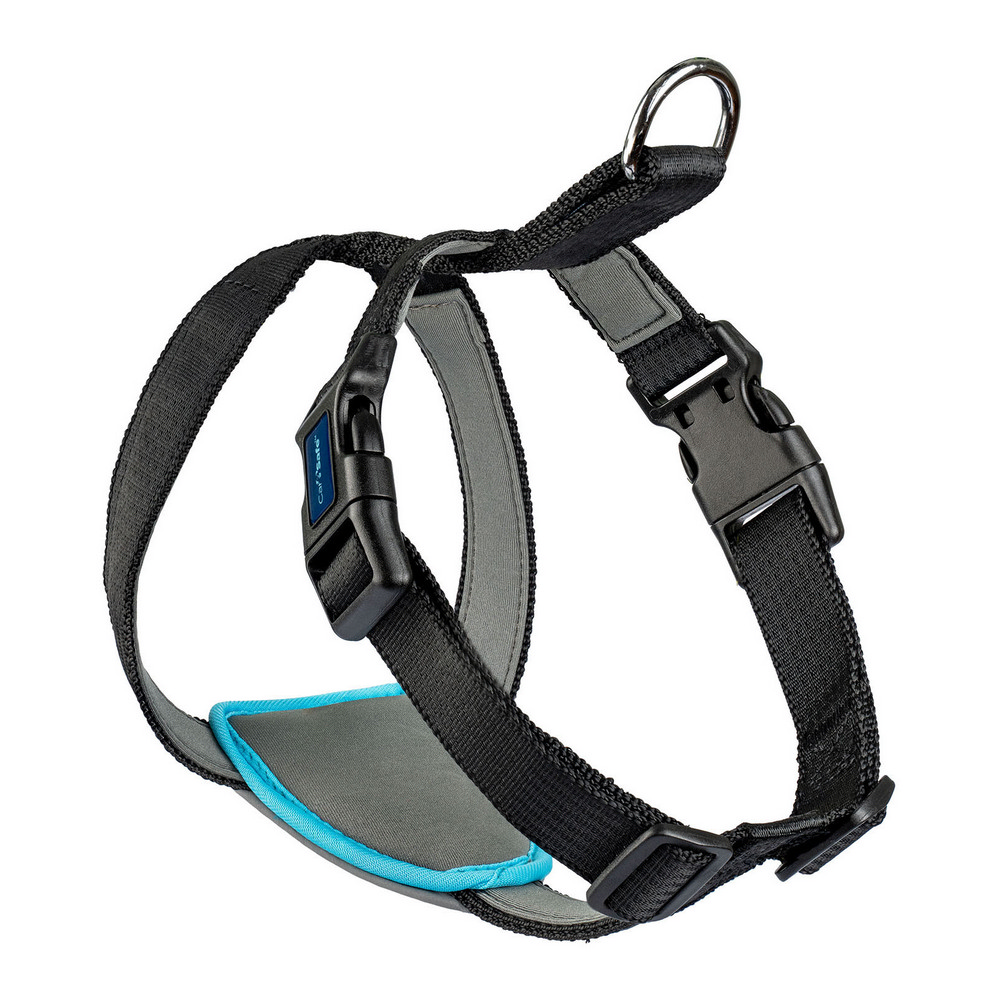 Hundsele Company of Animals CarSafe Svart Storlek S - 7