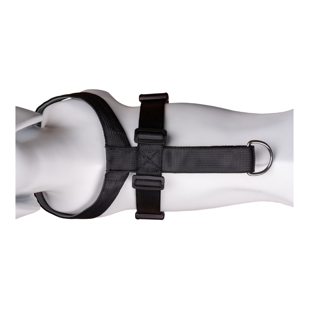 Hundsele Company of Animals CarSafe Svart Storlek S - 4