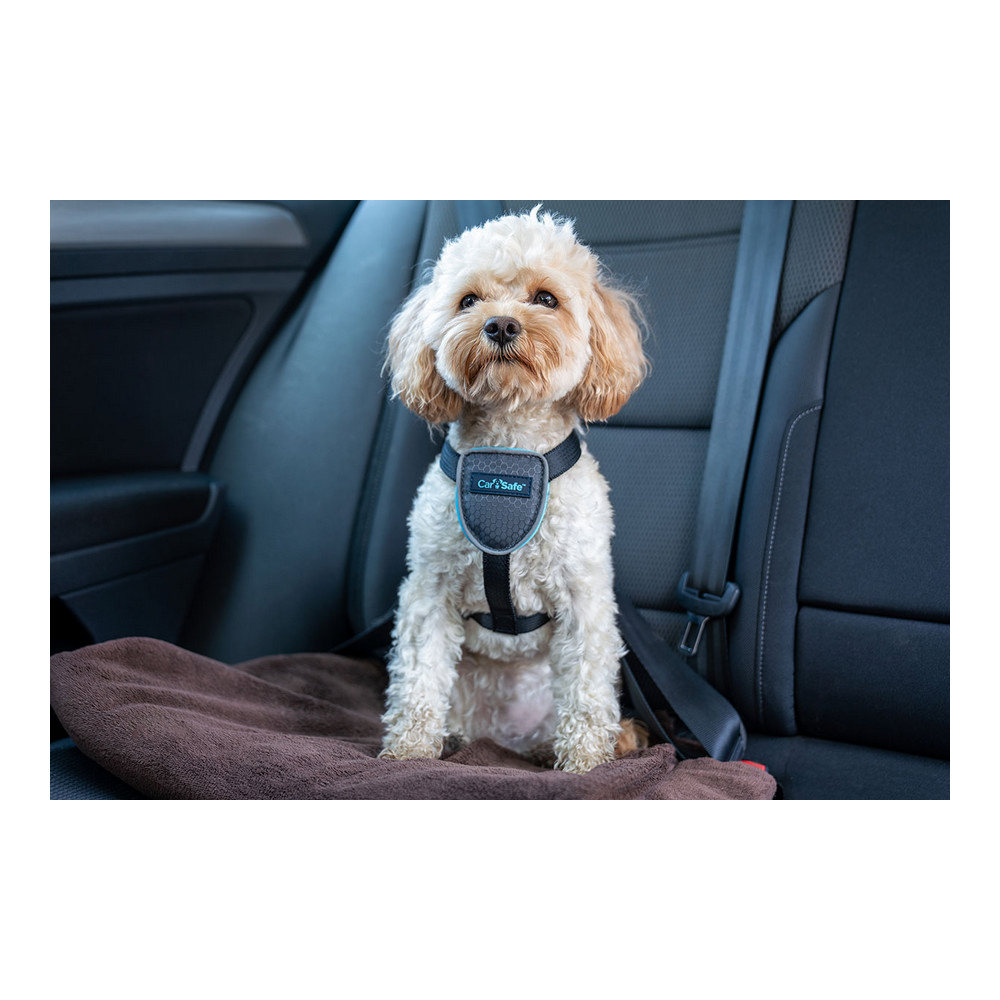 Hundsele Company of Animals CarSafe Svart Storlek M - 8