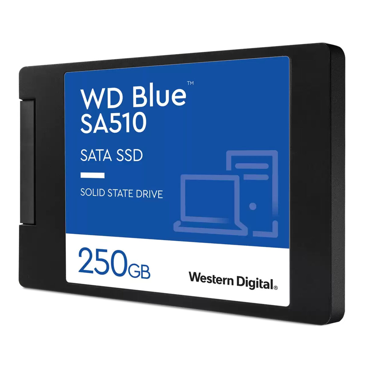 Hårddisk Western Digital WDS250G3B0A 250 GB SSD - 3