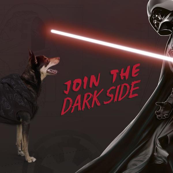 Hundtröja Star Wars XS Svart - 11
