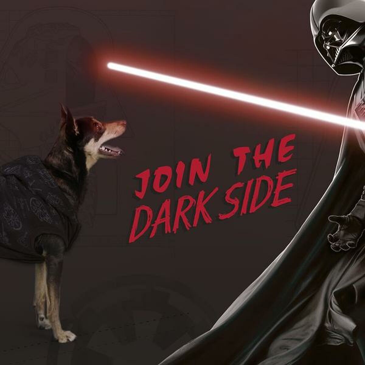 Hundtröja Star Wars XS Svart - 15