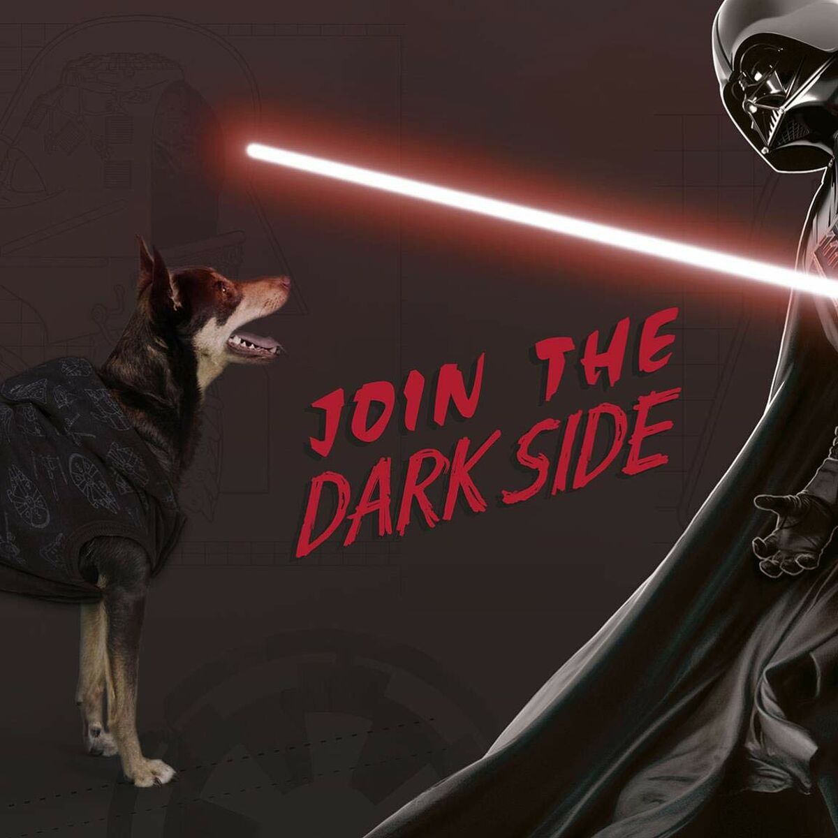Hundtröja Star Wars S Svart - 18