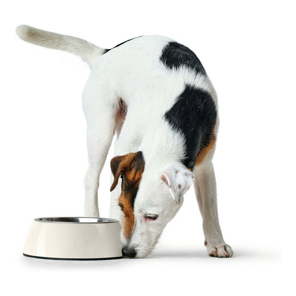 Hundmatare Hunter Melamin Rostfritt stål Vit 160 ml (14,5 x 14,5 x 7 cm) - 19