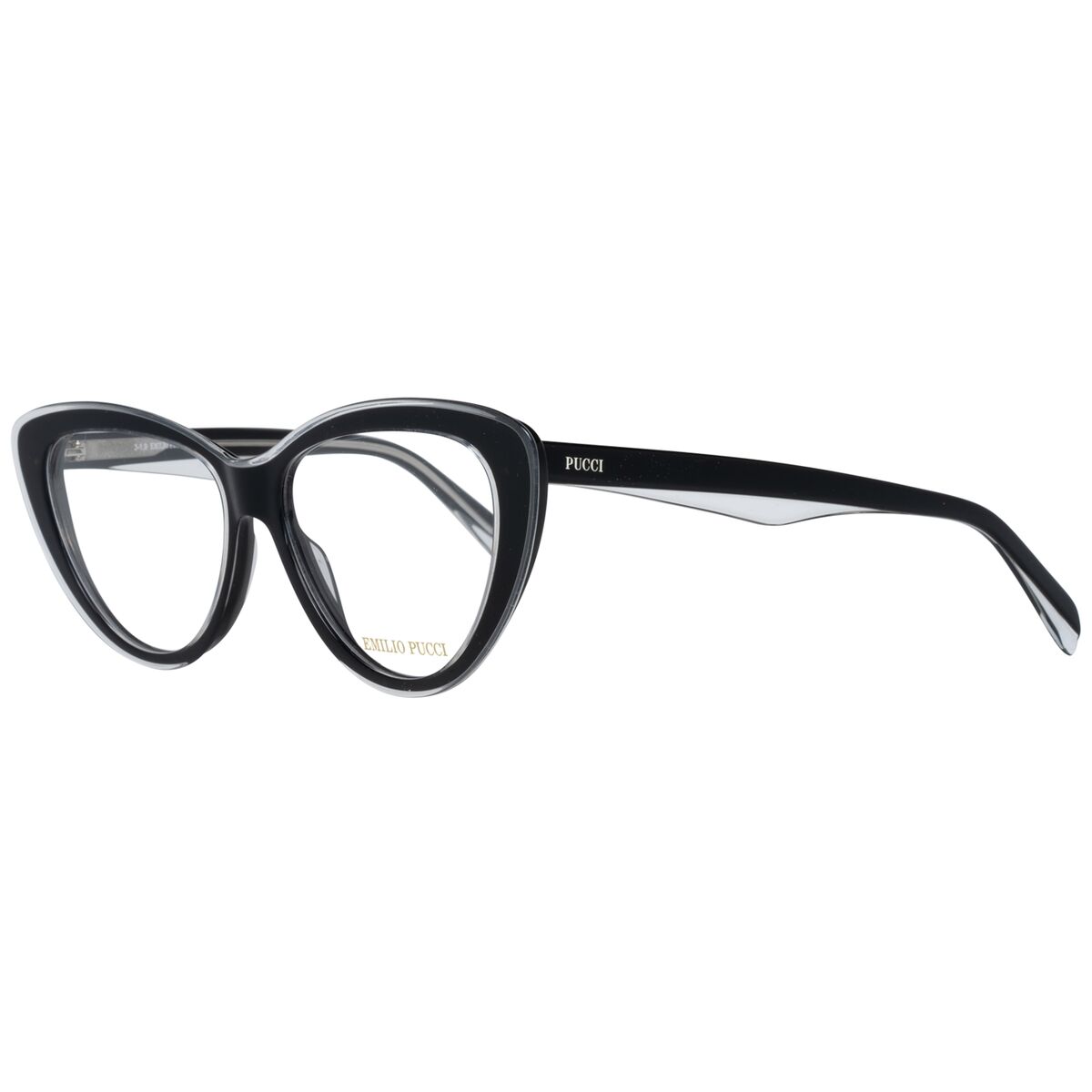Glasögonbågar Emilio Pucci EP5096 55003