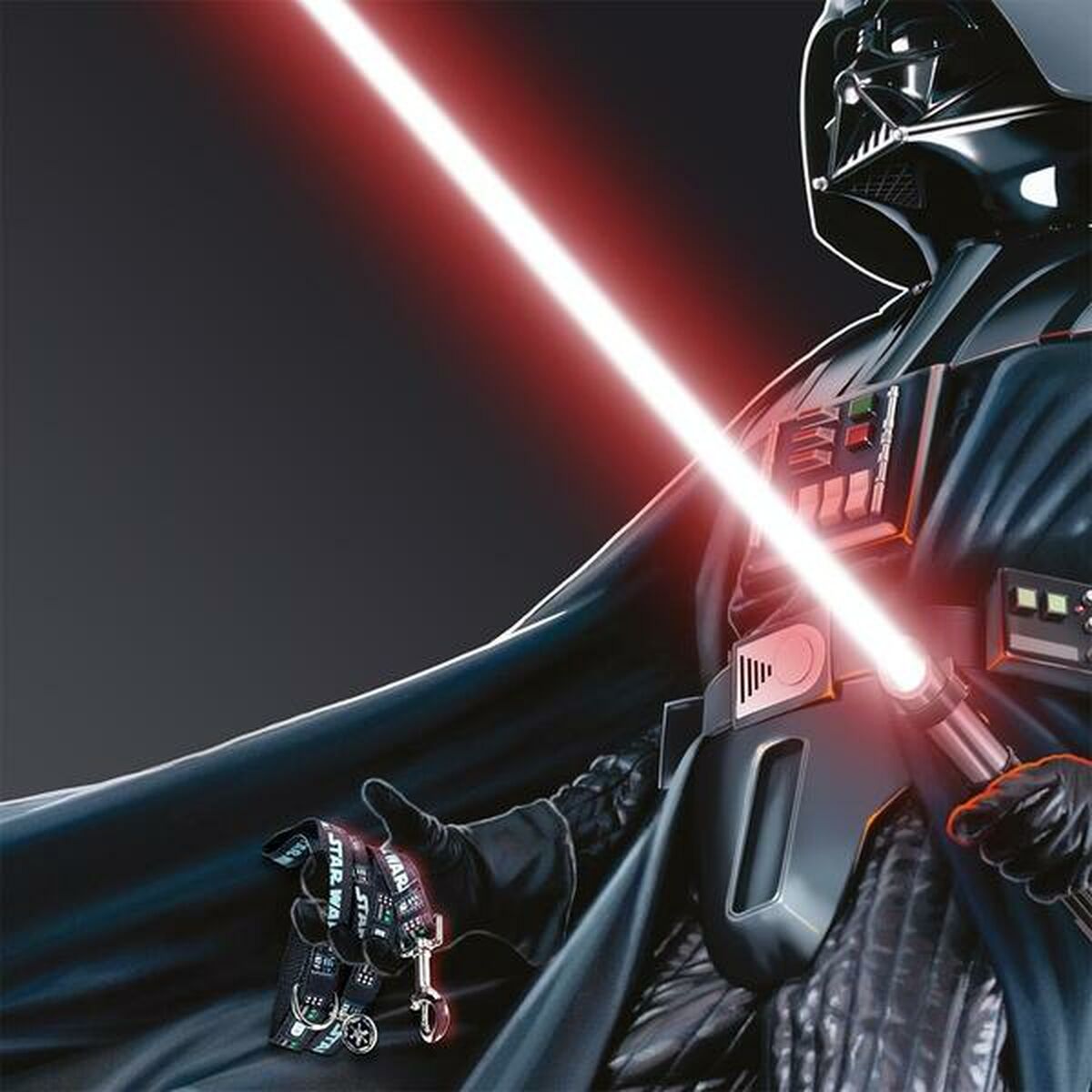 DoHundkoppel Star Wars Svart S - 4