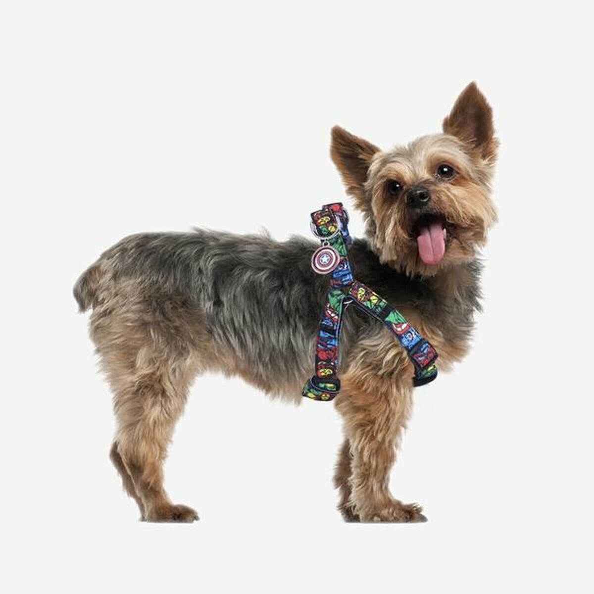 Hundsele Marvel Svart M/L - 14