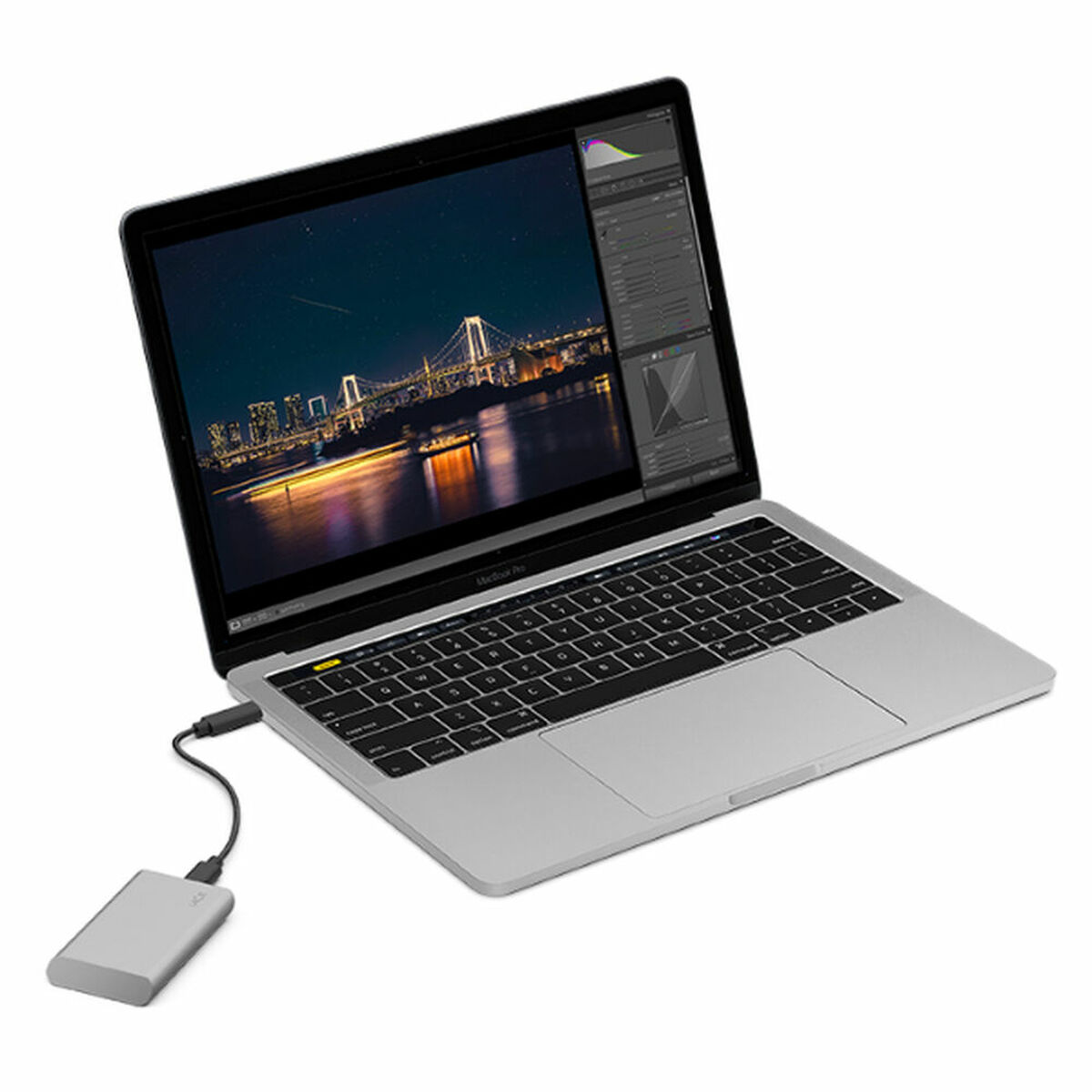 Extern Hårddisk Seagate STKS1000400 2,5" 1 TB SSD - 5
