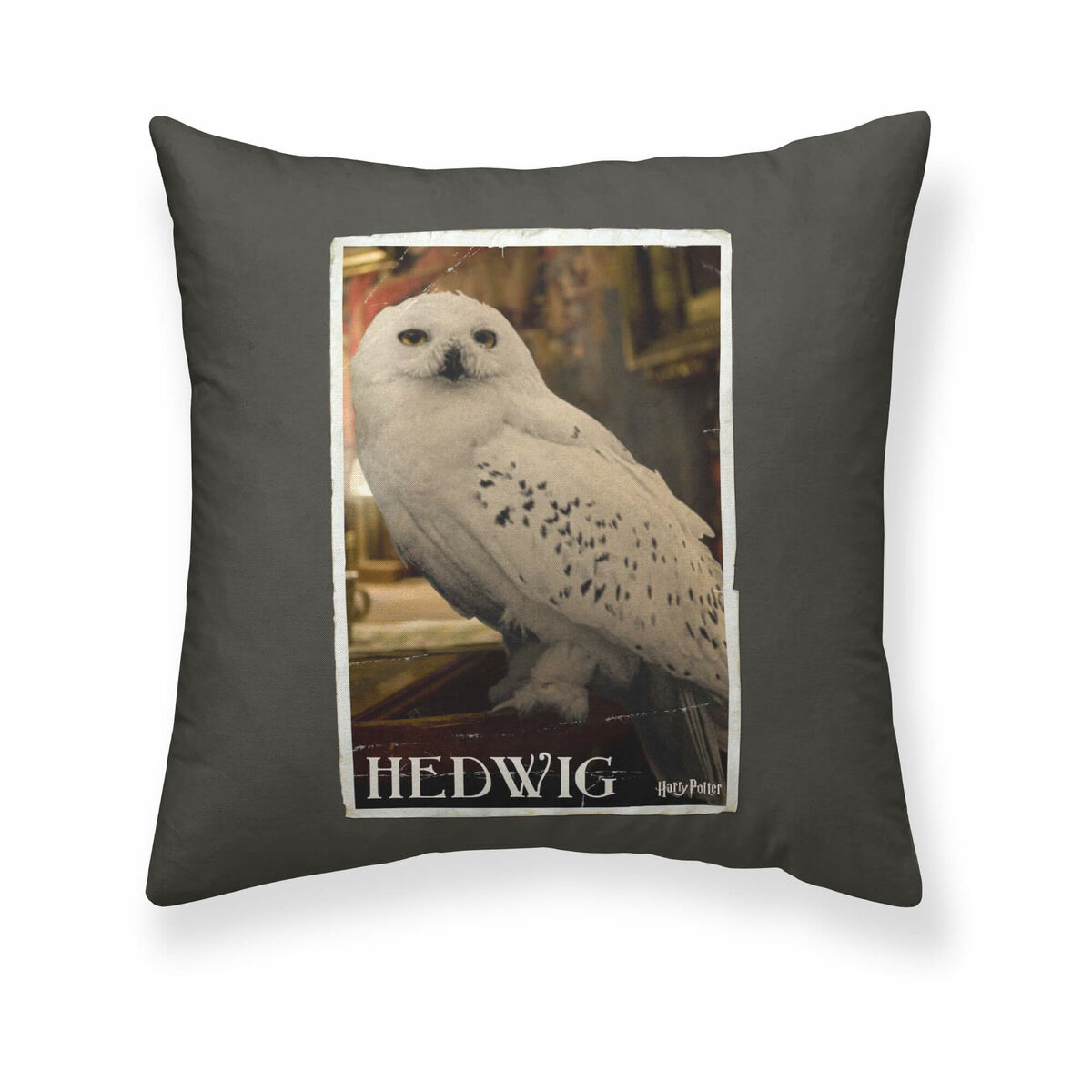 Kuddfodral Harry Potter Hedwig Multicolour 50 x 50 cm