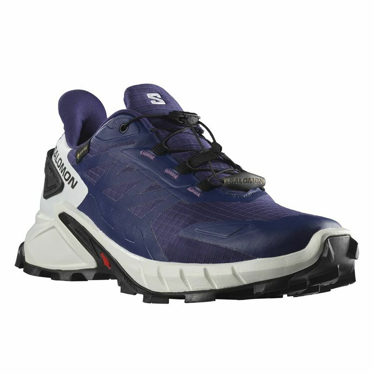 Gymnastiksko, Dam Salomon Supercross 4 GORE-TEX Berg Vit - 7