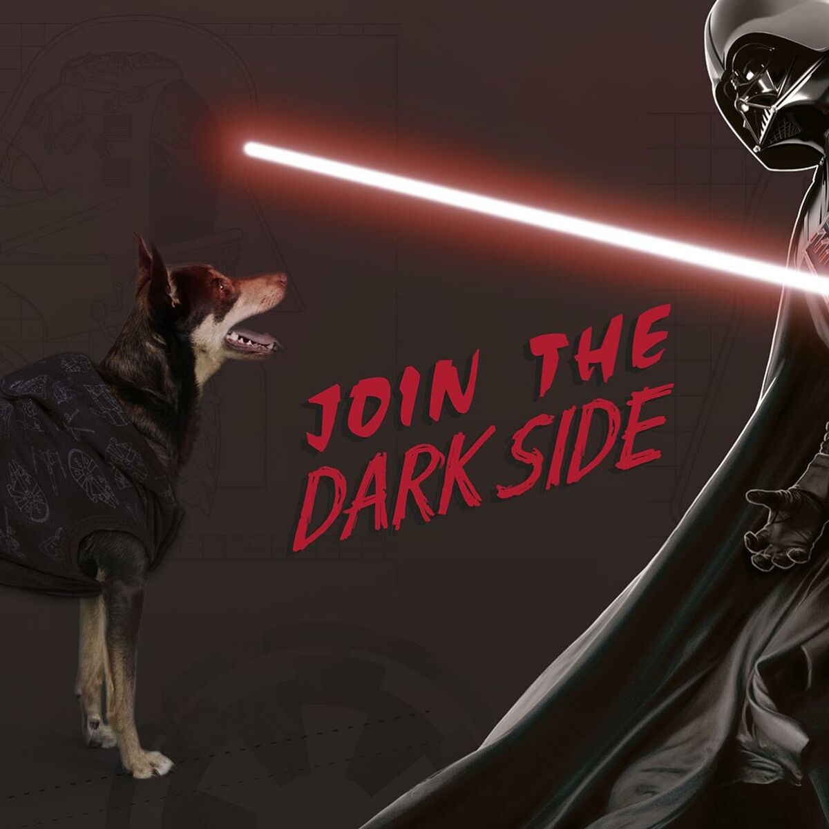 Hundtröja Star Wars M Svart - 12