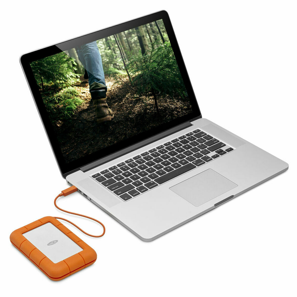 Extern Hårddisk Seagate WDBVXC0060HWT-EESN 5 TB - 6