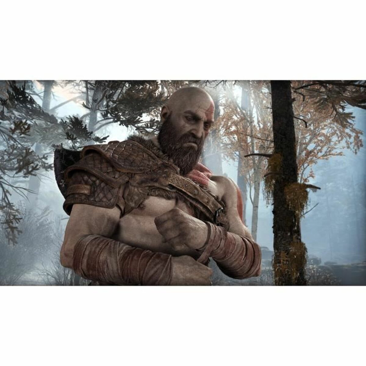 PlayStation 4 Videospel Santa Monica Studio Gof of War Playstation Hits - 2