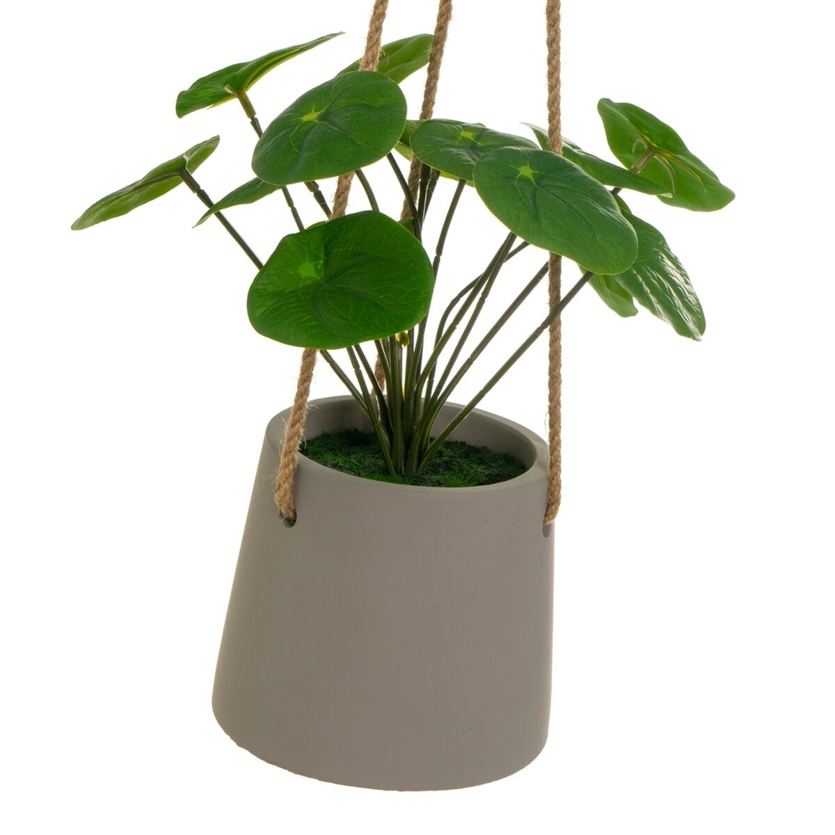 Dekorativ växt Polyetylen Cement 23 x 19 x 24 cm - 2
