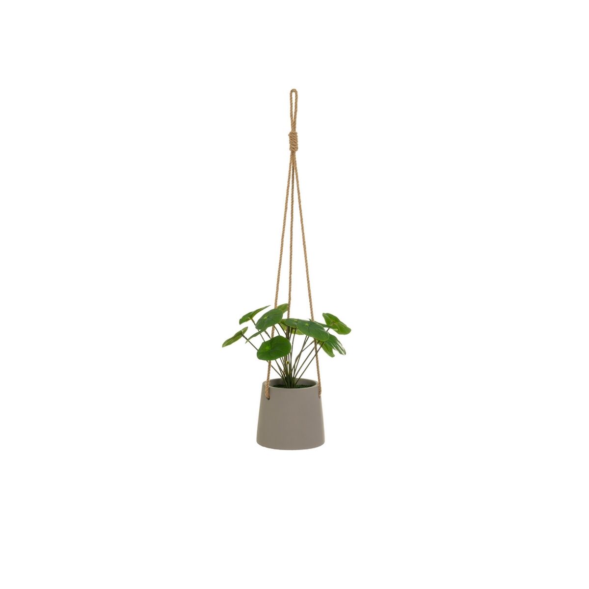 Dekorativ växt Polyetylen Cement 23 x 19 x 24 cm - 3