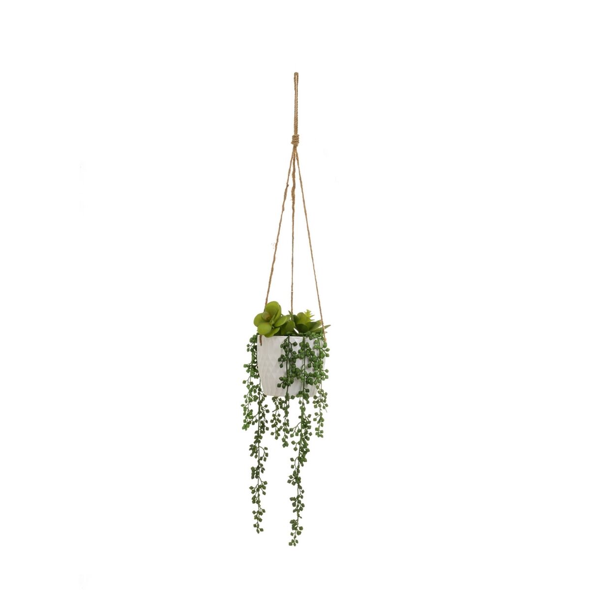 Dekorativ växt Keramik Polyetylen 14 x 14 x 40 cm - 4