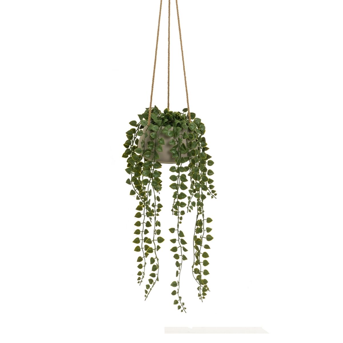 Dekorativ växt Polyetylen Cement 18 x 18 x 46 cm