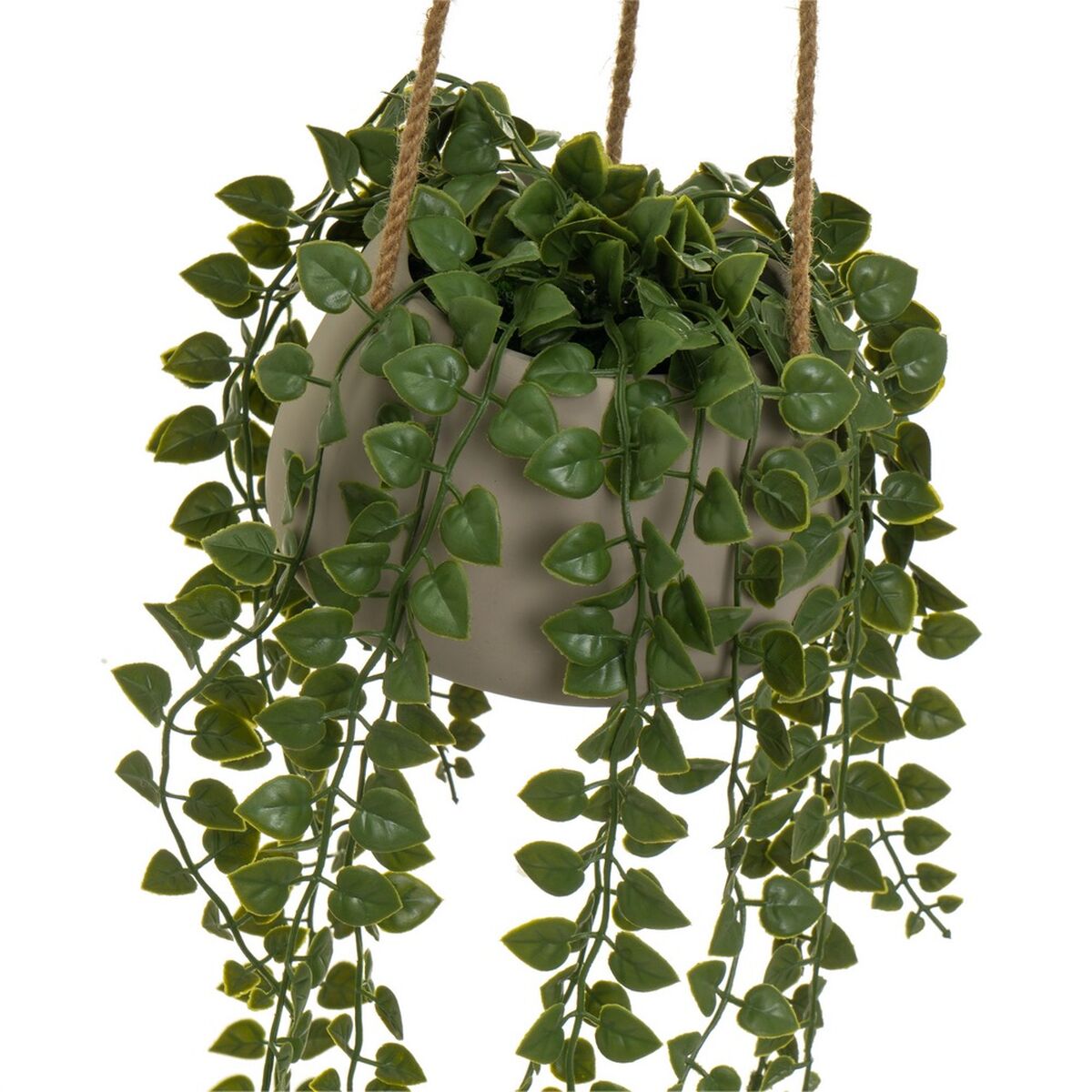 Dekorativ växt Polyetylen Cement 18 x 18 x 46 cm - 2