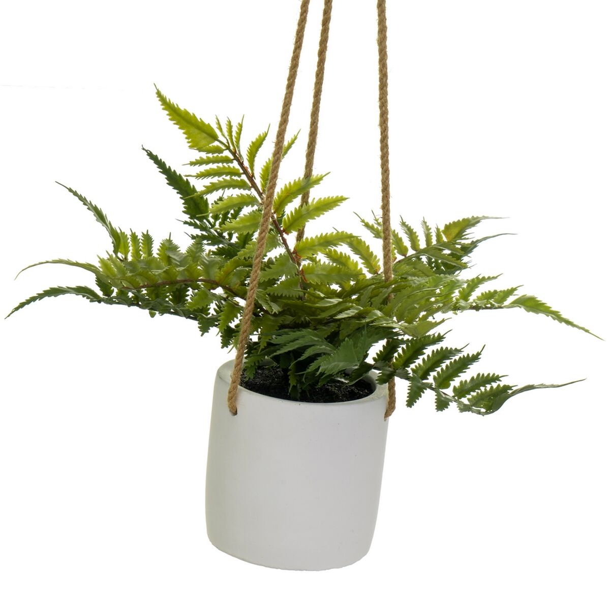 Dekorativ växt Polyetylen Cement 30 x 30 x 24 cm - 2