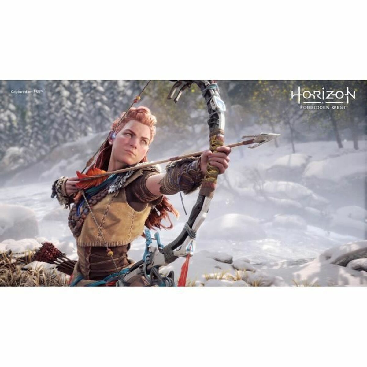 PlayStation 4 Videospel Guerrilla Games Horizon: Forbidden West - 6