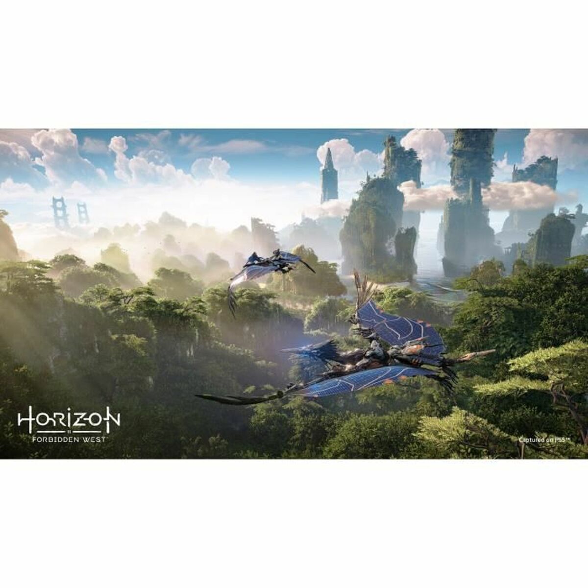 PlayStation 4 Videospel Guerrilla Games Horizon: Forbidden West - 5