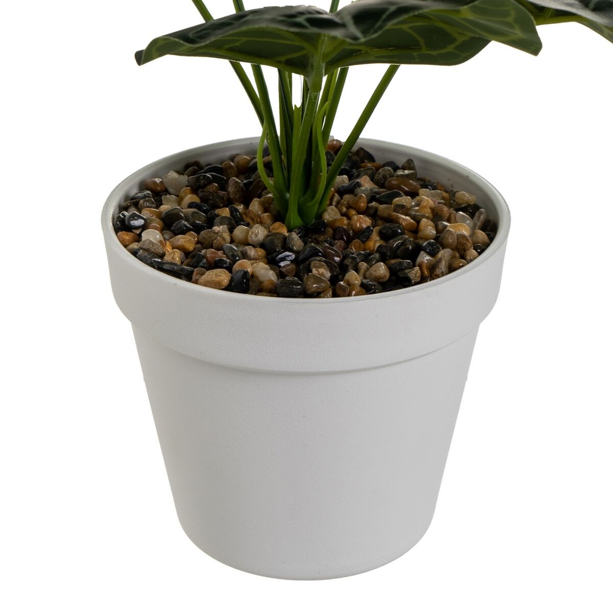 Dekorativ växt Polyetylen Plast 26 x 26 x 43 cm - 4