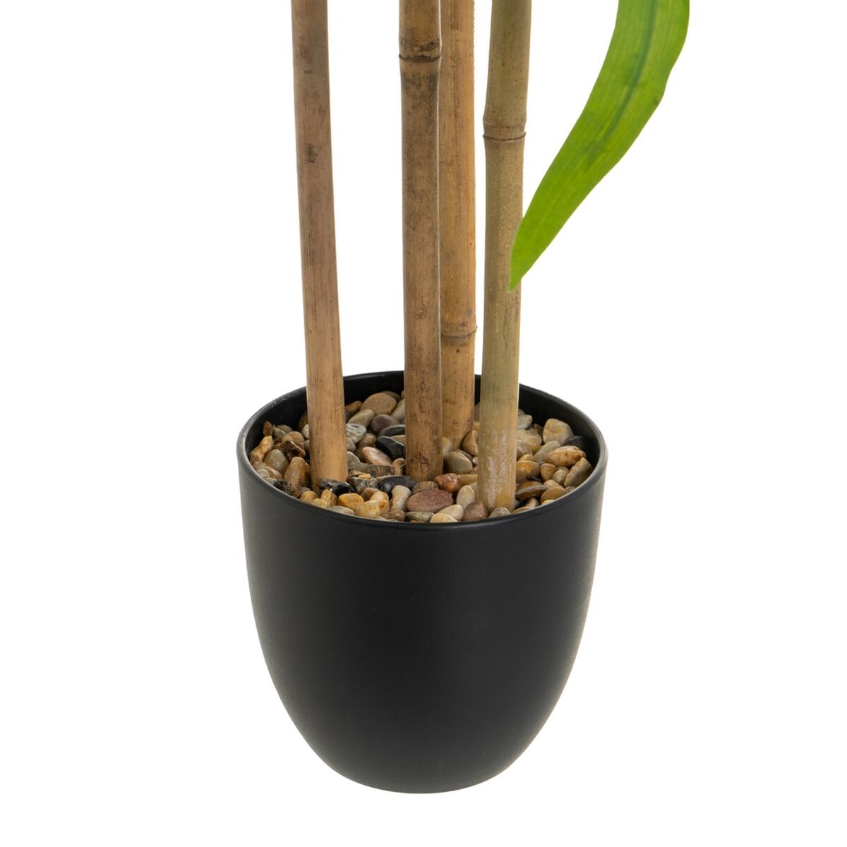 Dekorativ växt Polyester polypropen Eukalyptus 61 x 61 x 80 cm - 4