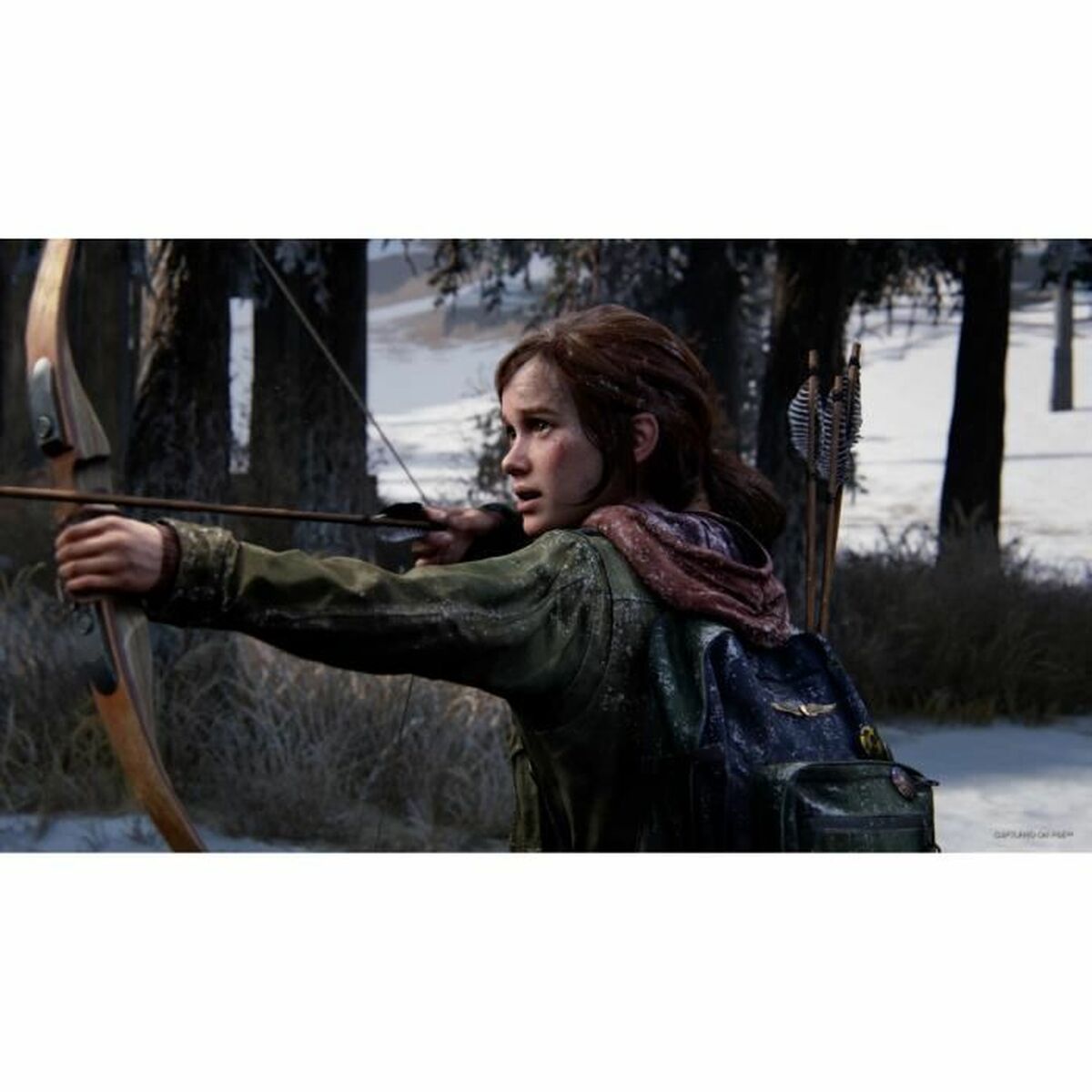 PlayStation 5 Videospel Naughty Dog The Last of Us: Part 1 Remake - 5