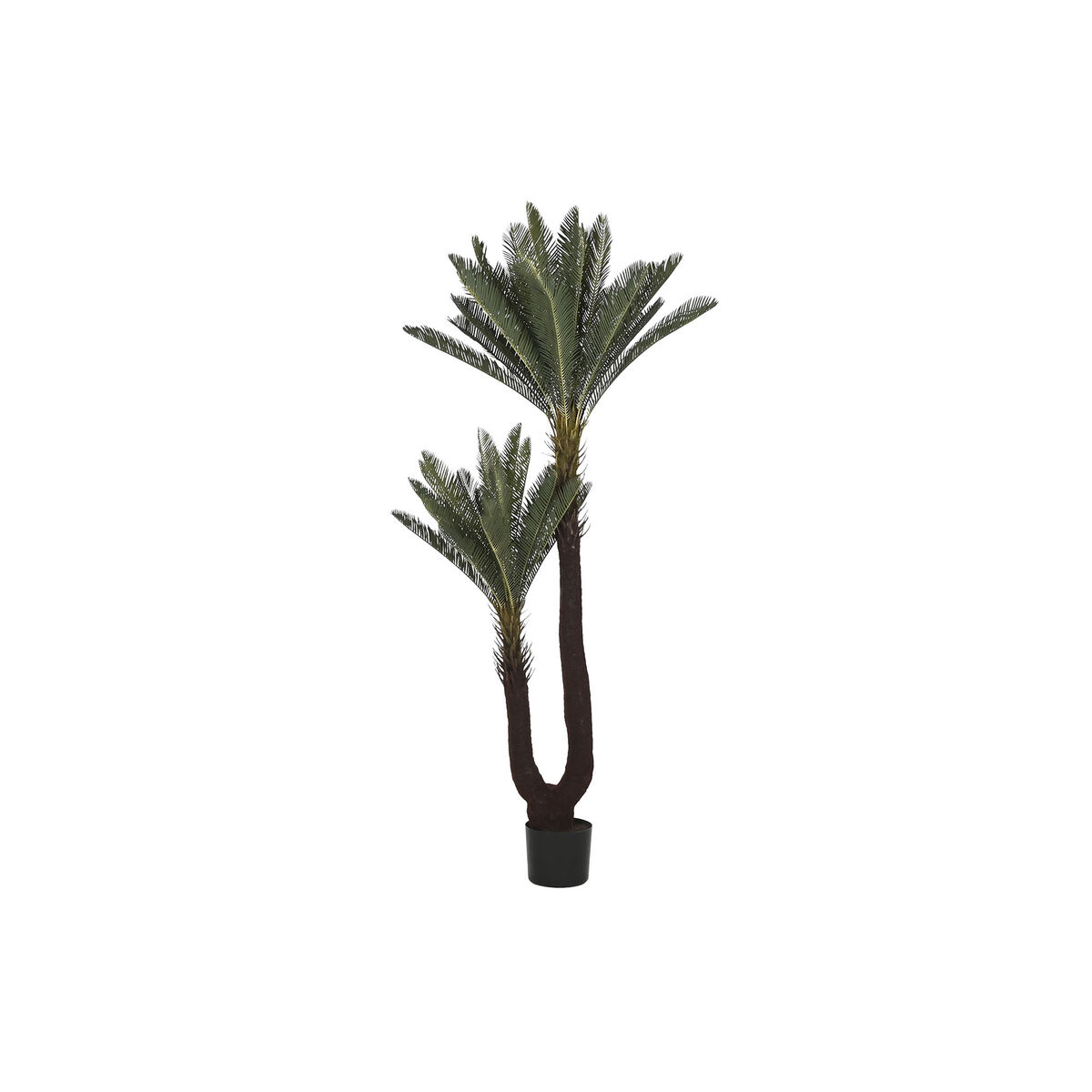Dekorativ växt Home ESPRIT Polyetylen Tropiskt 80 x 80 x 170 cm