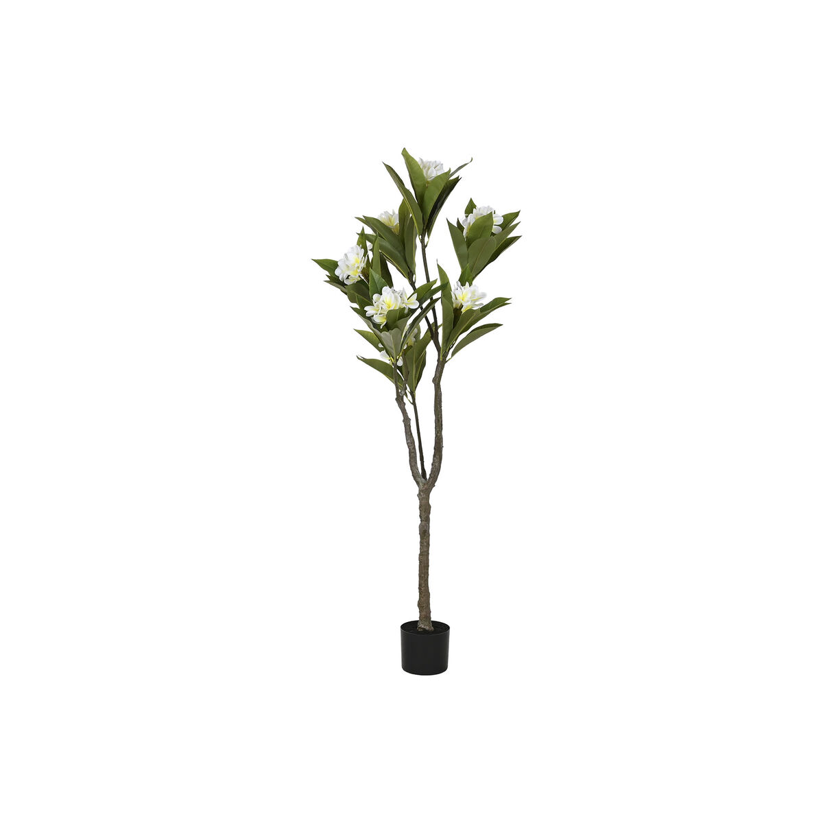 Träd Home ESPRIT Polyetylen 80 x 80 x 150 cm