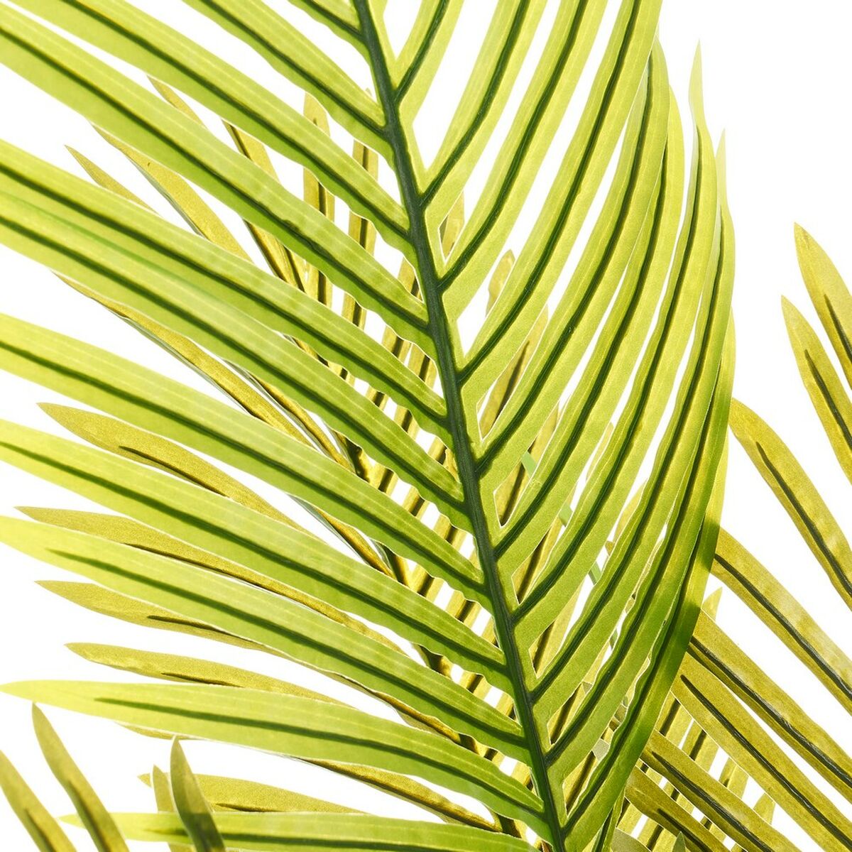 Dekorativ växt Polyetylen Plast Palmträd 45 x 45 x 114 cm - 2