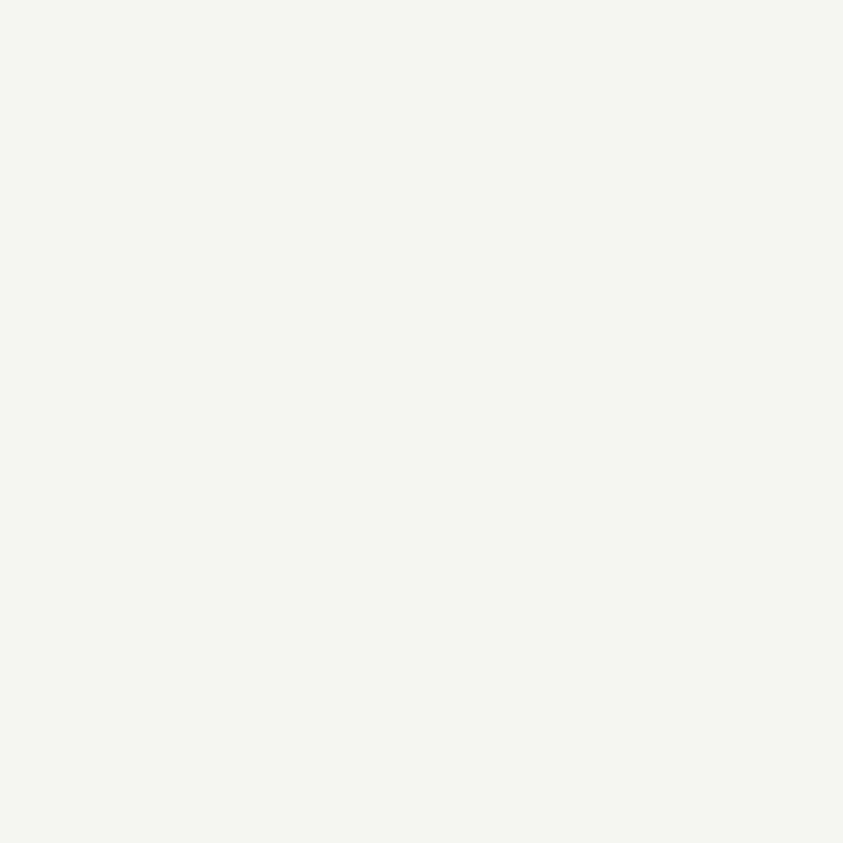 Grundfärg Ripolin Vit Matt 10 L - 2