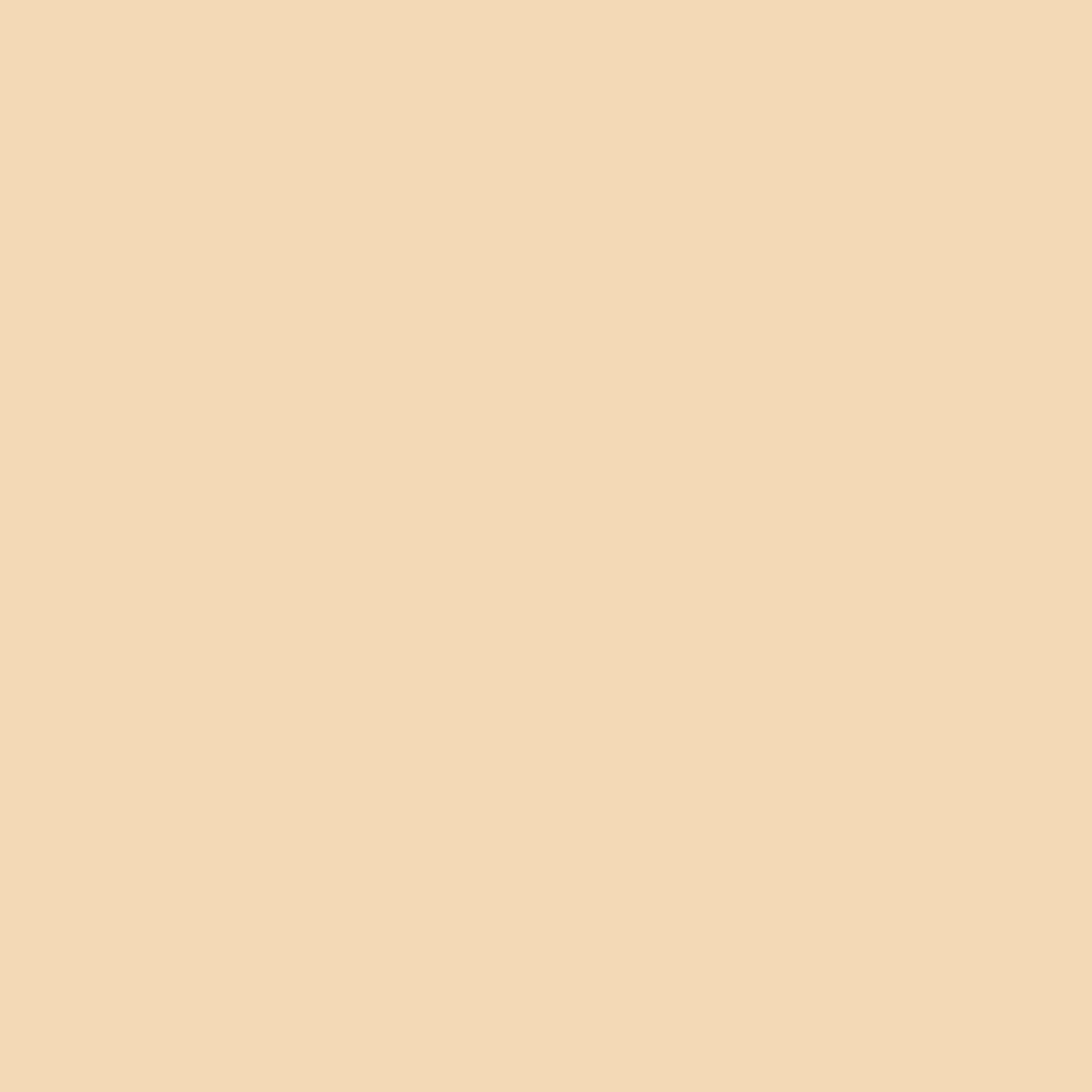 Grundfärg Ripolin Beige Matt 10 L - 2