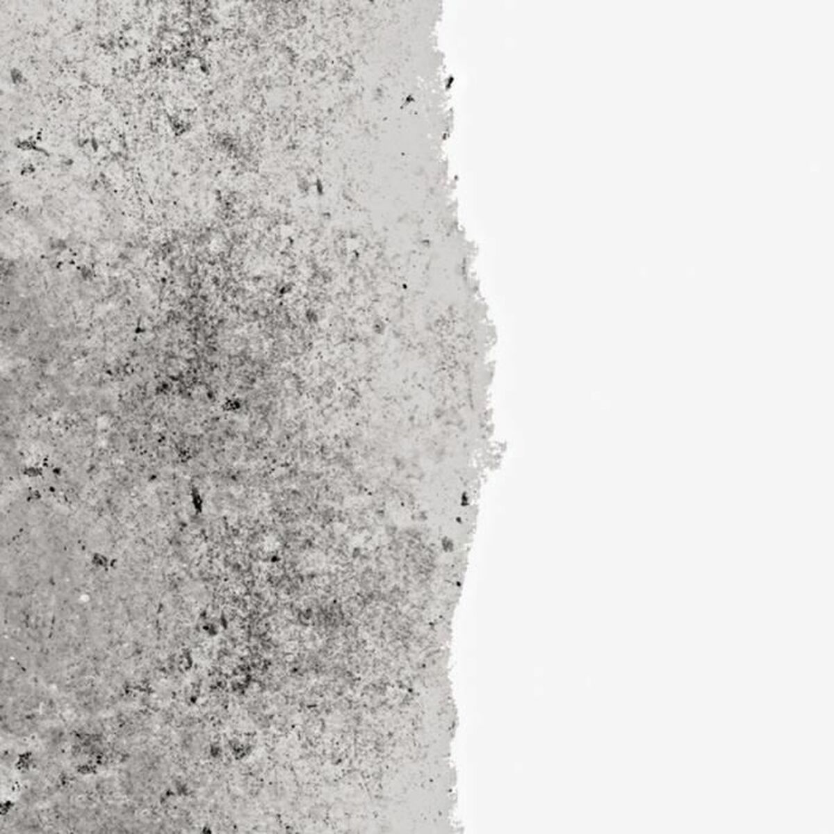 Grundfärg Ripolin Vit Matt 0,75 L - 2
