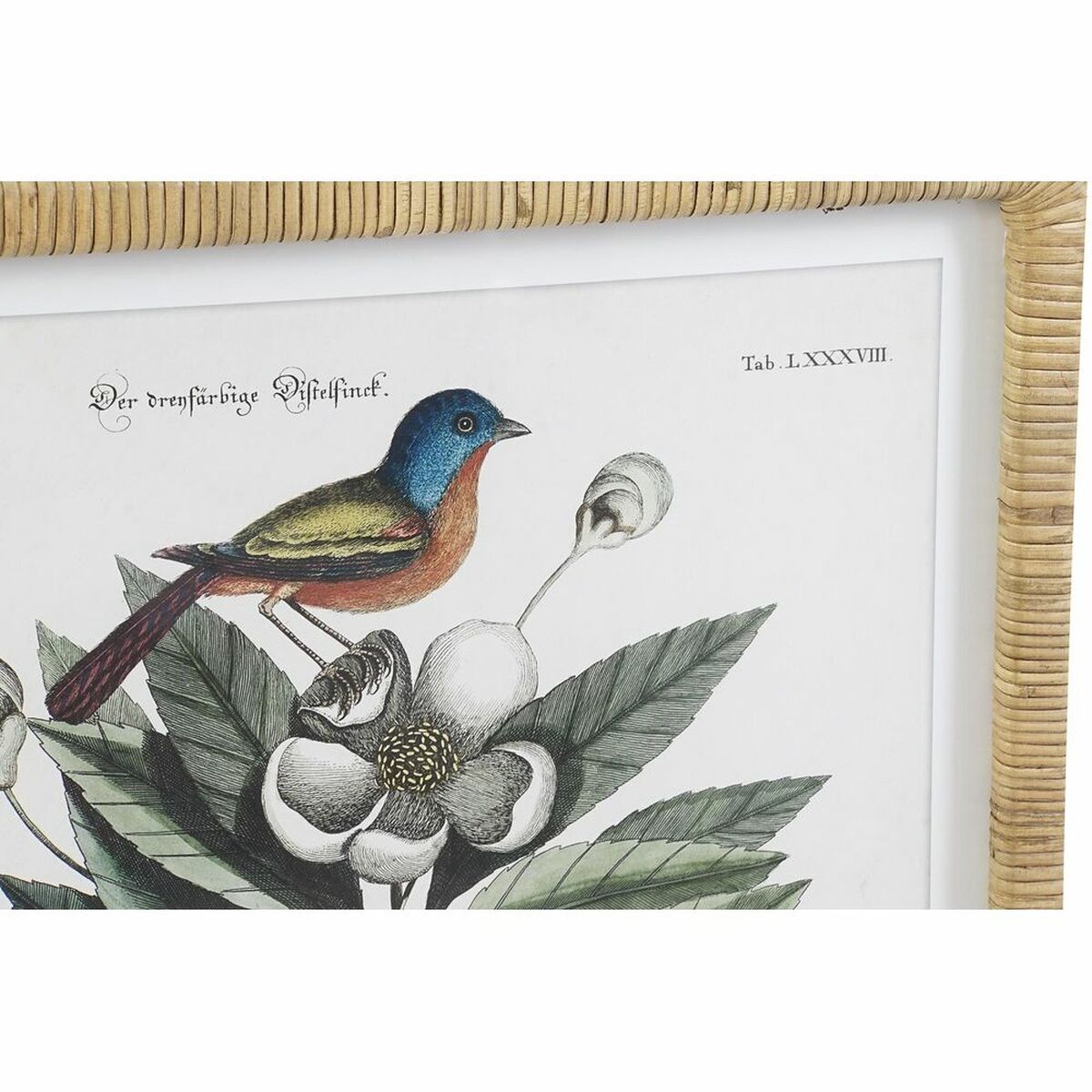Tavla DKD Home Decor 50 x 2,5 x 65 cm Shabby Chic Botaniska växter (4 Delar) - 8