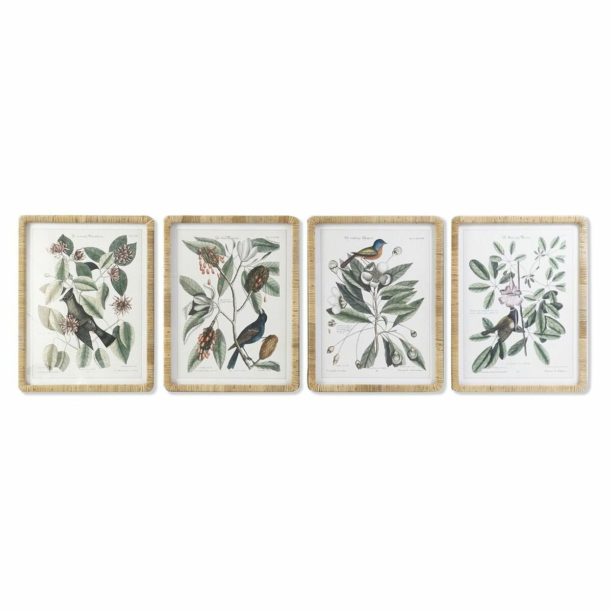 Tavla DKD Home Decor 50 x 2,5 x 65 cm Shabby Chic Botaniska växter (4 Delar) - 7