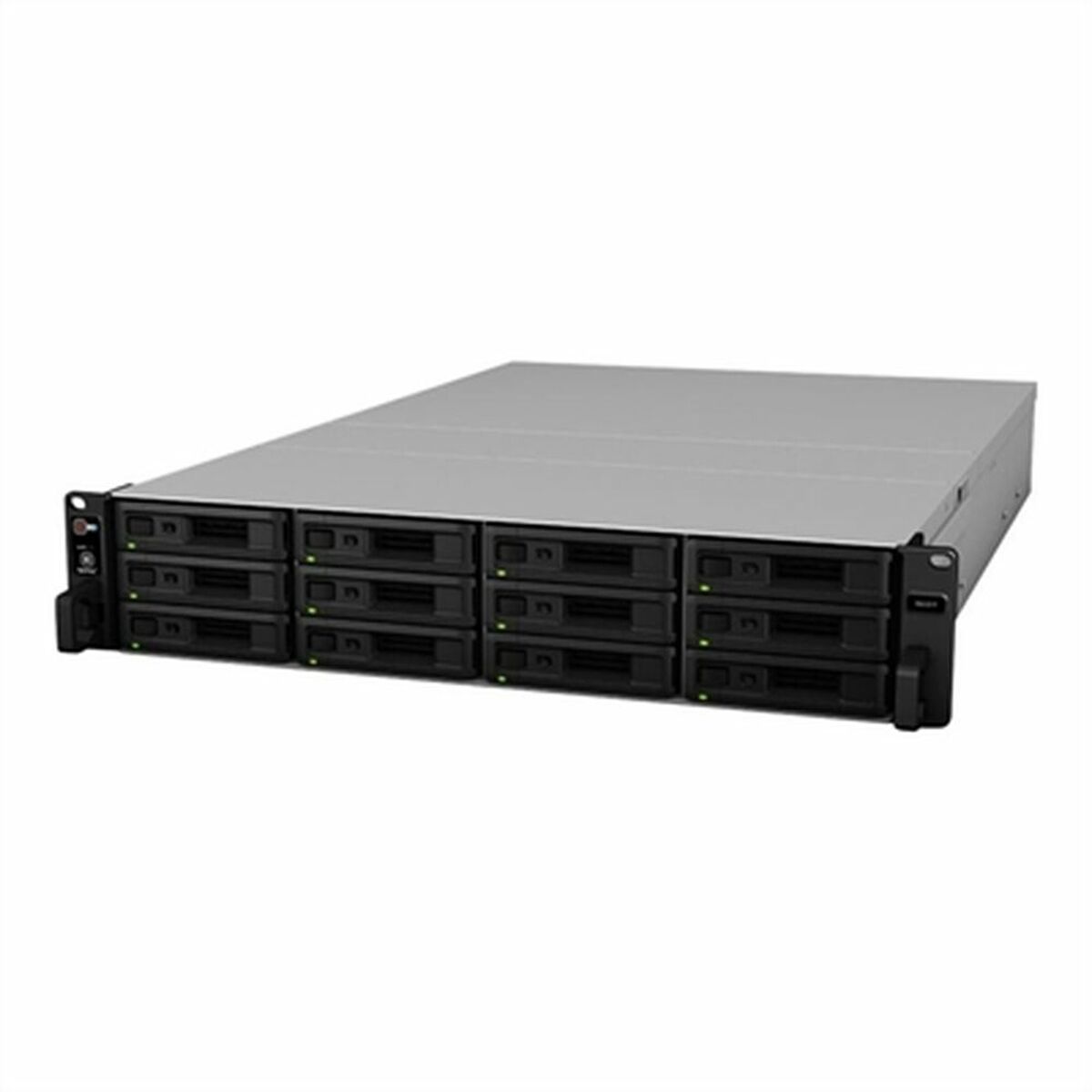 RAID-styrkort Synology Z661002 - 2